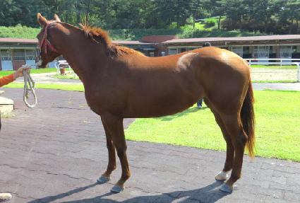 ����� ����