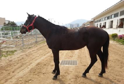 ��Ű������ ����