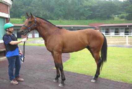 ��ȣ���ڽ� ����