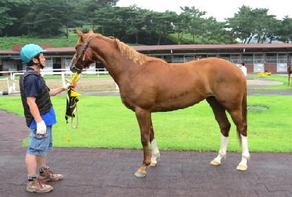 �񵵹�è�� ����