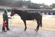 ������ (MAKSANG MAKA) ����