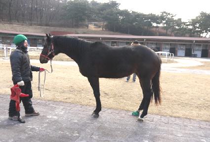 ������ ����