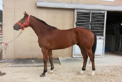 ����Ҹ� ����