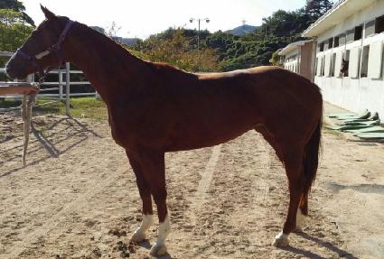 �������̴� ����