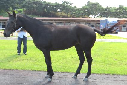 ��������Ʈ ����