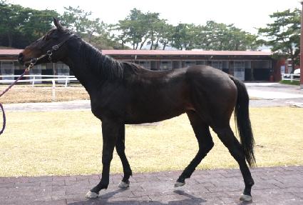 Ŭ������Ʈ ����