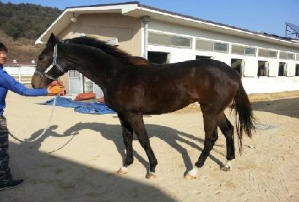 õ���ְ� ����