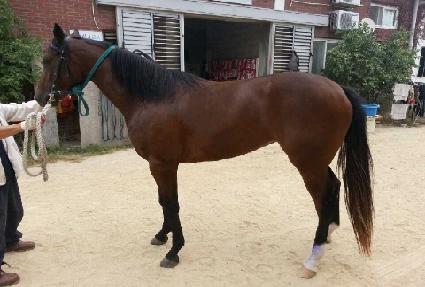 �ִ밭ǳ ����