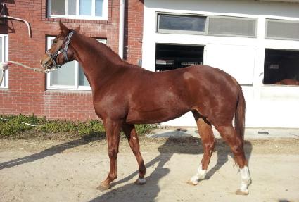 �ִ�ӵ� ����