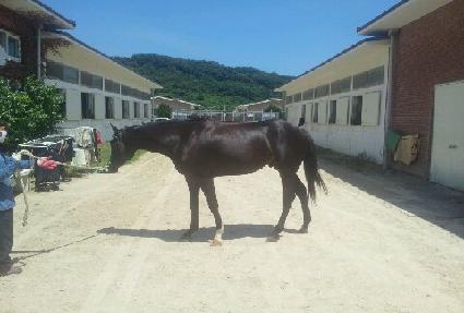 �Ŀ����� ����