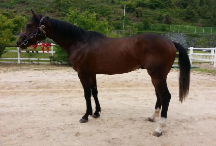 ���ξƸ��� ����