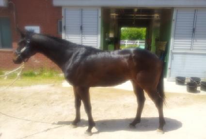 ��¹��� ����