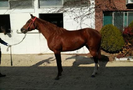 �������� ����