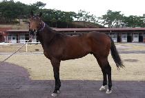 �Ƹ������� (ARGO PHANTOM) ����