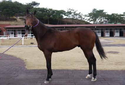 �Ƹ������� ����