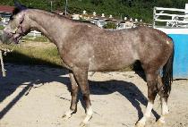 �۹�Ʈ���� (FERVENT STORM) ����