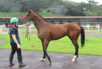 �ݹ̷��� ����