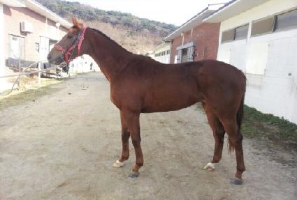 �ڹ��� ����