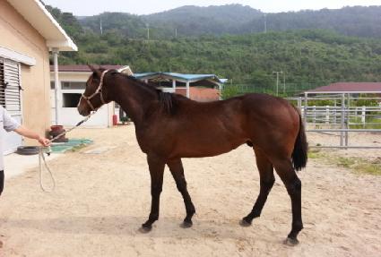 ����Ʈ����� ����