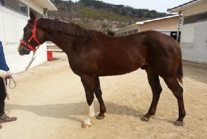 ���̽����� ����