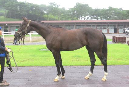 Ʈ������ ����