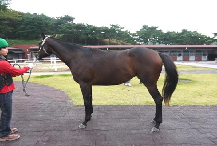 ������Ʈ ����