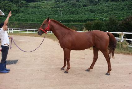 ��Ű ����