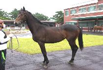 �ٿ (BOUNCE) ����