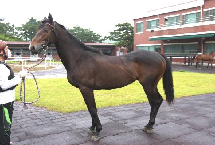 �ٿ ����