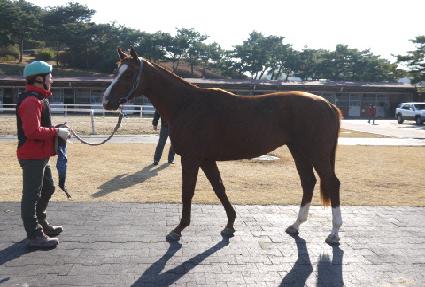 Ÿ�̰����� ����