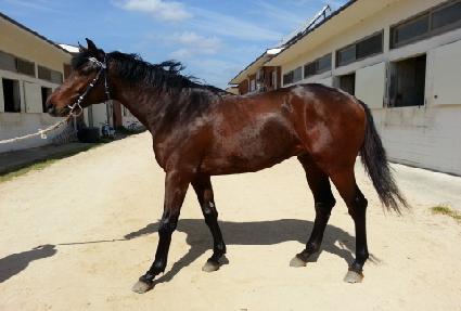 �׹��ź��� ����