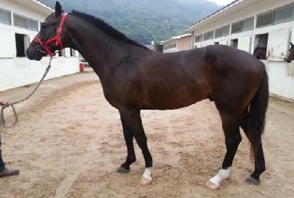 ���ϵ巯�� ����