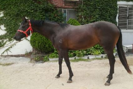 ����ġ ����