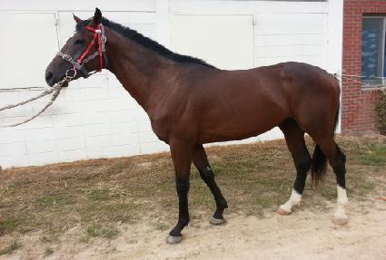 ������ȣ ����