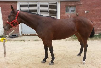 �������Ǽ��� ����