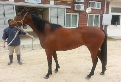 �׷����� ����