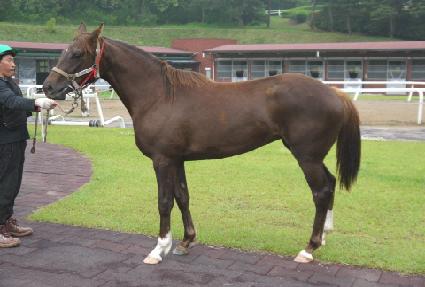 ����Ʈ��� ����