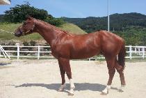 �������� (YEONGUNG CHULHYEON) ����