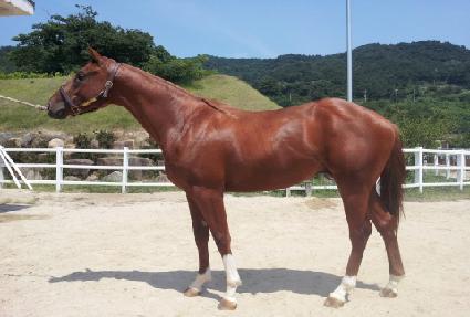 �������� ����