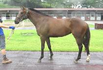 ������ġ (GWANGSOK TOUCH) ����