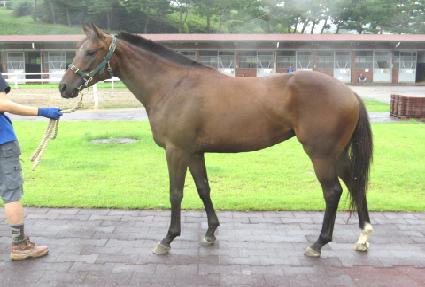 ������ġ ����