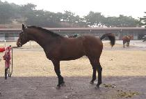 ���ǹ븮 (HAPPY VALLEY) ����