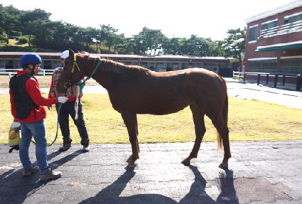 ��Ű�ý��� ����