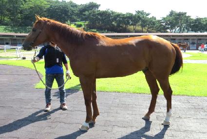 �ݰ���� ����