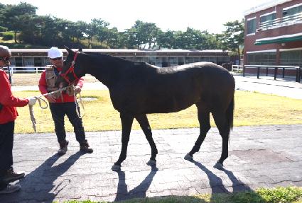 ������ ����