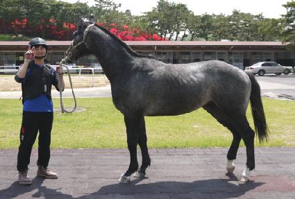 ������ ����