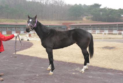 �����ʰ� ����