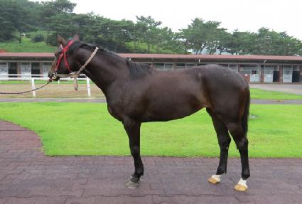 ���������� ����