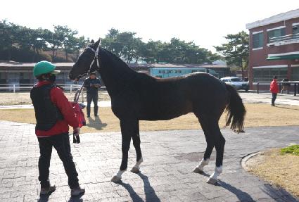 ���Ǽ��� ����