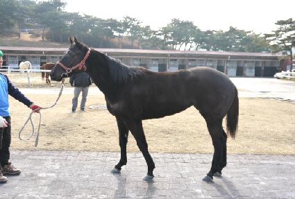 ġ��ġ�� ����